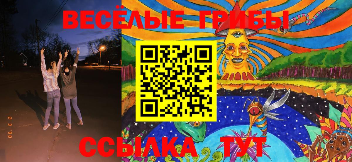 Галлюциногенные грибы прущие грибы  Псилоцибиновые грибы прущие грибы  Вход с VPN  магазин    Владивосток 