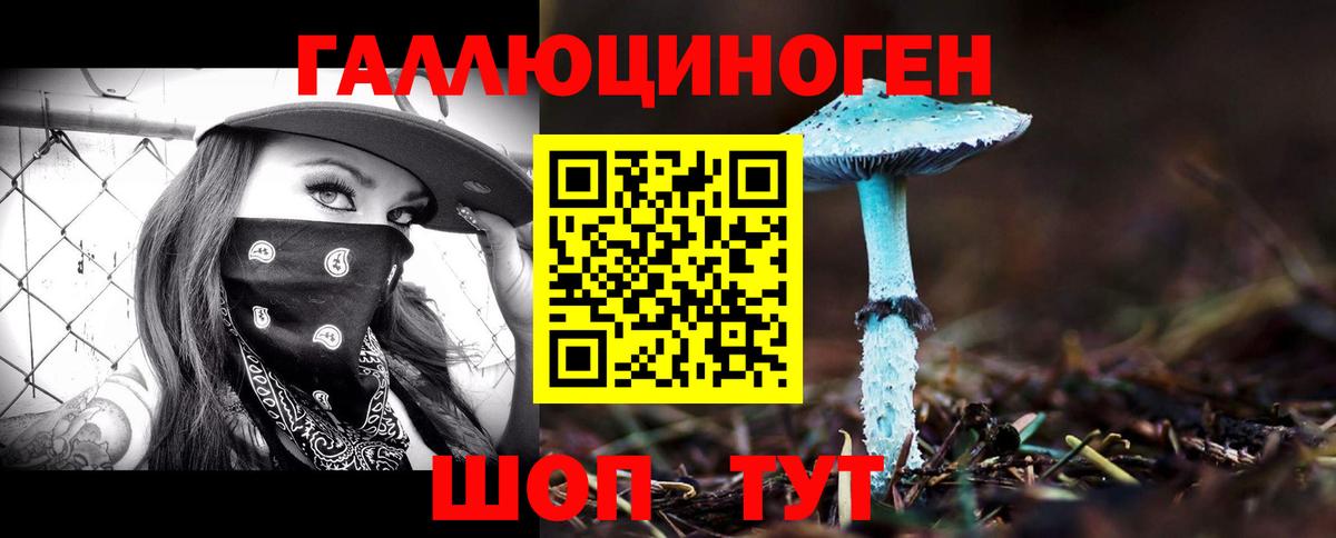 Галлюциногенные грибы прущие грибы Владивосток